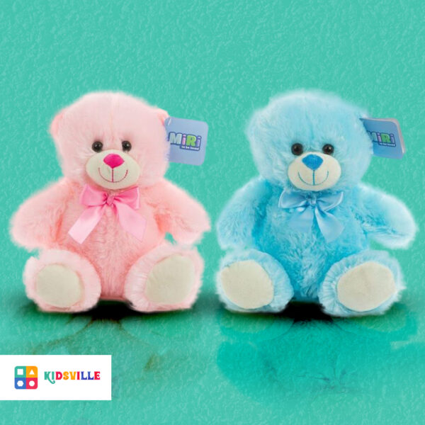 25cm Pink And Blue Bear